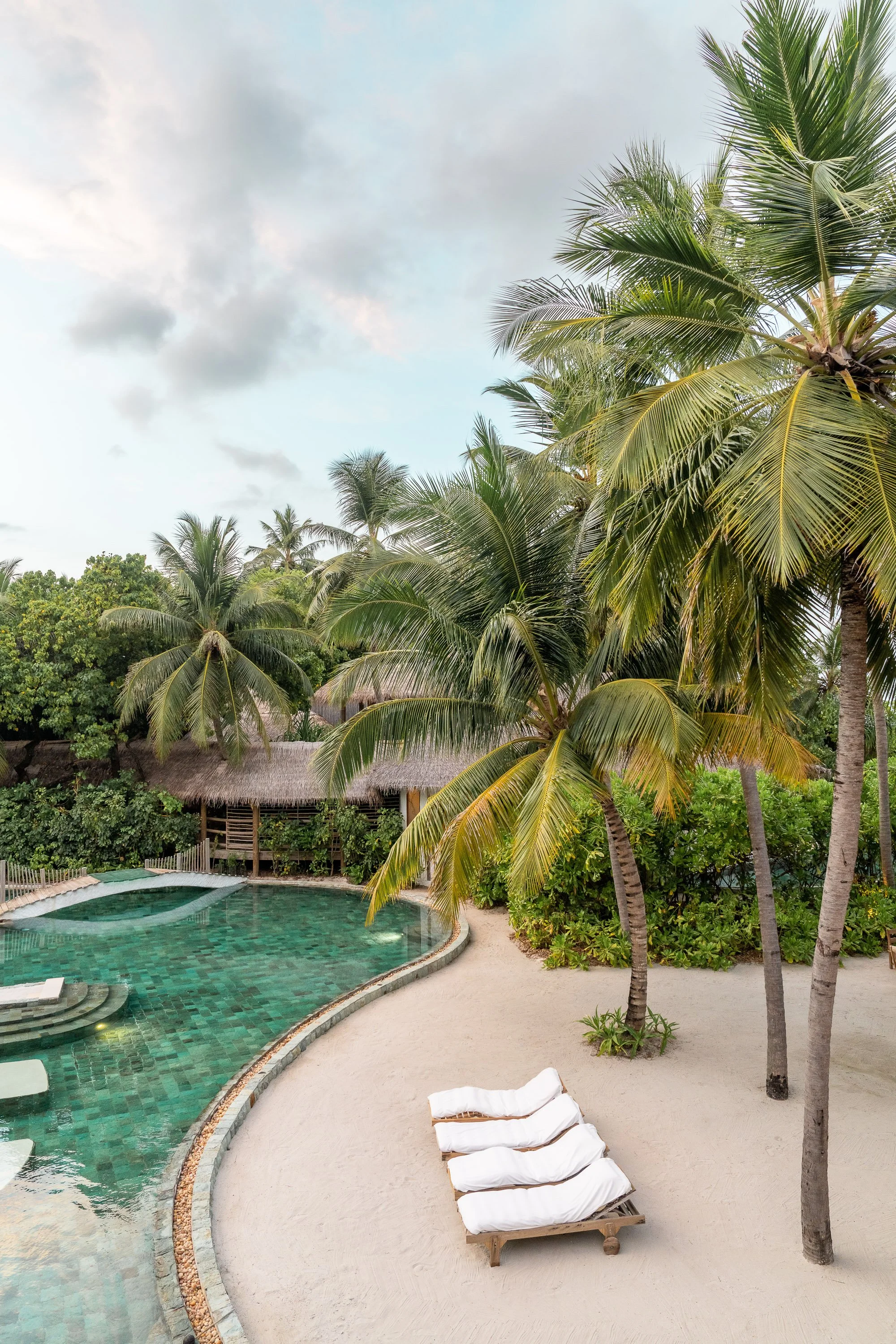 maldives pool palm trees